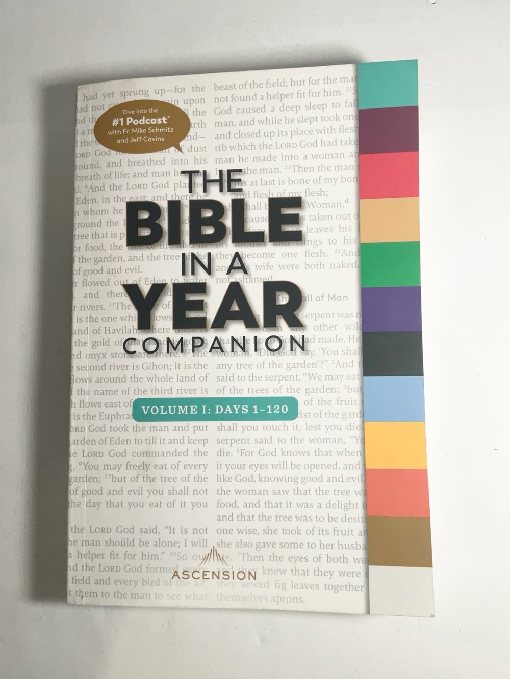 The Bible in a Year Companion, Volume I - Paperback By Fr Mike Schmitz - GOOD